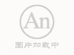叢生五角楓
