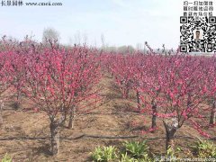 �t�~����