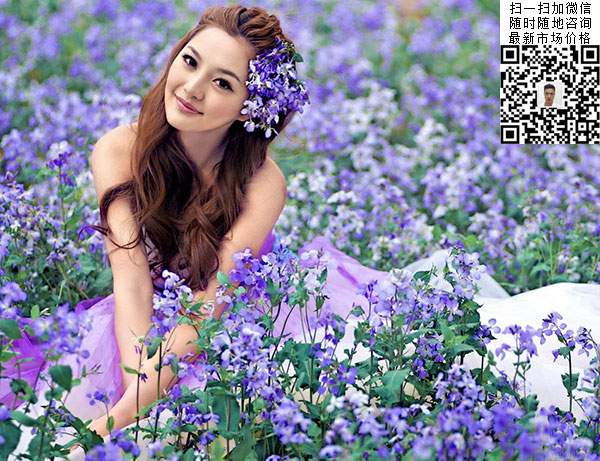 二月蘭花海和美女
