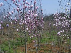 �������m