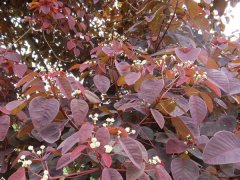 �t�~����