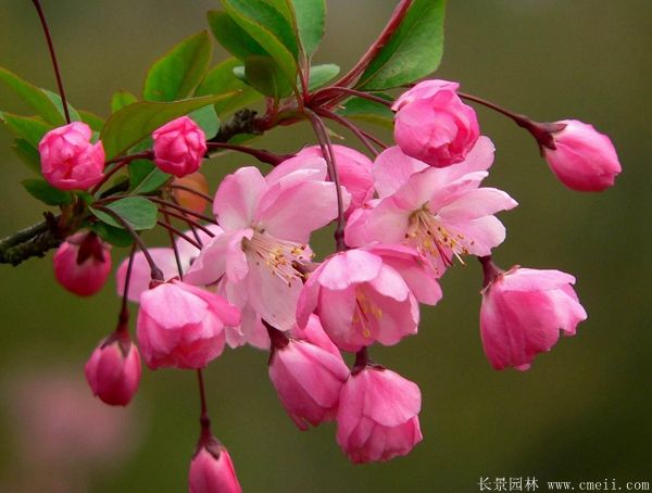 ????????·??&nbsp;è?±??????