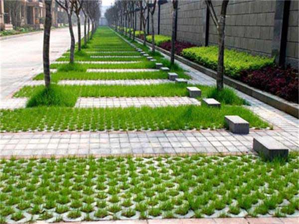 停車場草坪種植草坪種子綠化