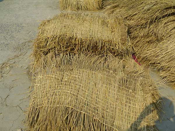 稻草簾圖片產地廠家實拍