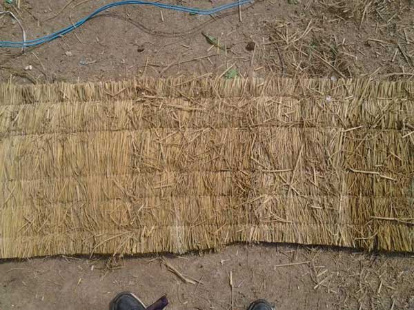 稻草簾圖片產地廠家實拍