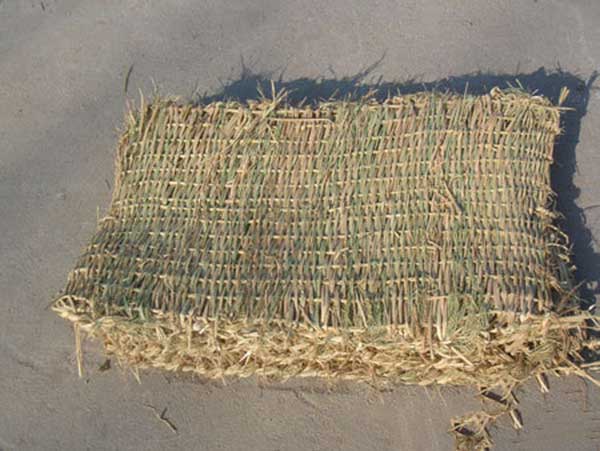 稻草簾圖片產地廠家實拍