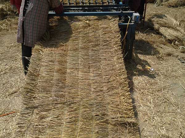 稻草簾圖片產地廠家實拍