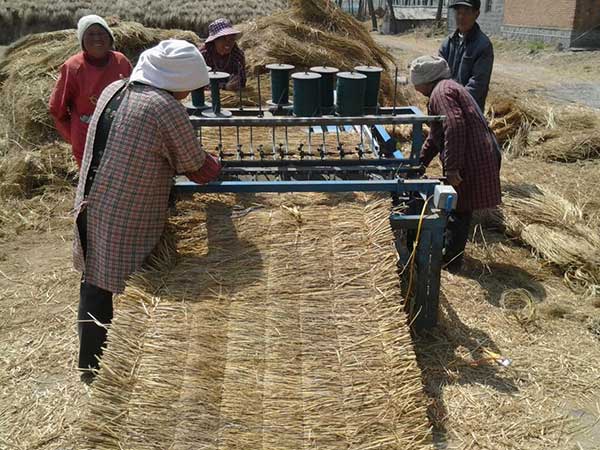 稻草簾圖片產地廠家實拍
