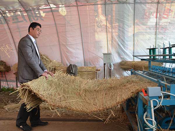 稻草簾圖片產地廠家實拍