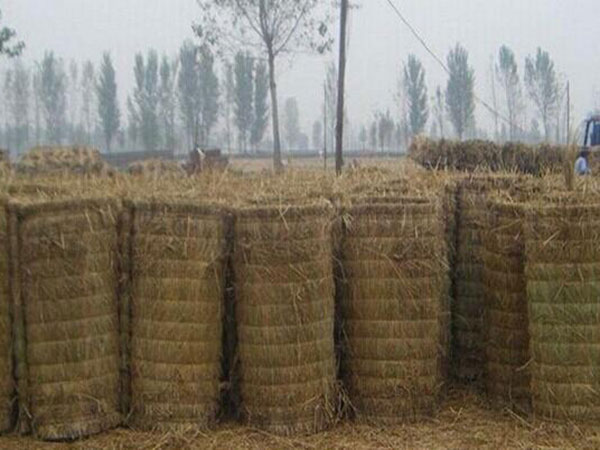 稻草簾圖片產地廠家實拍