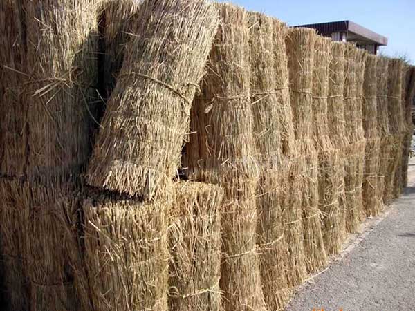 稻草簾圖片產地廠家實拍
