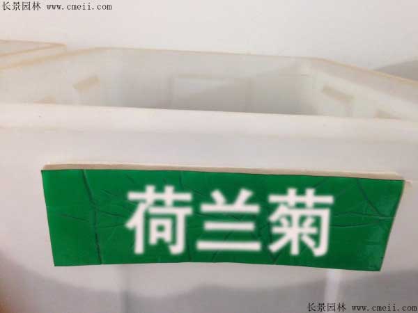 1-1FF91024103M.jpg