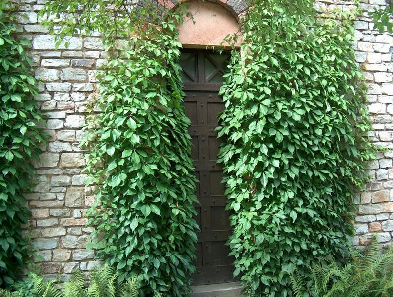 1648544830902081.jpg 1648544830902081.jpg