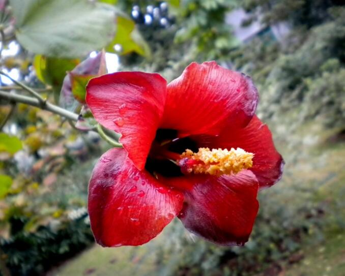 1650625027386861.jpg 1650625027386861.jpg