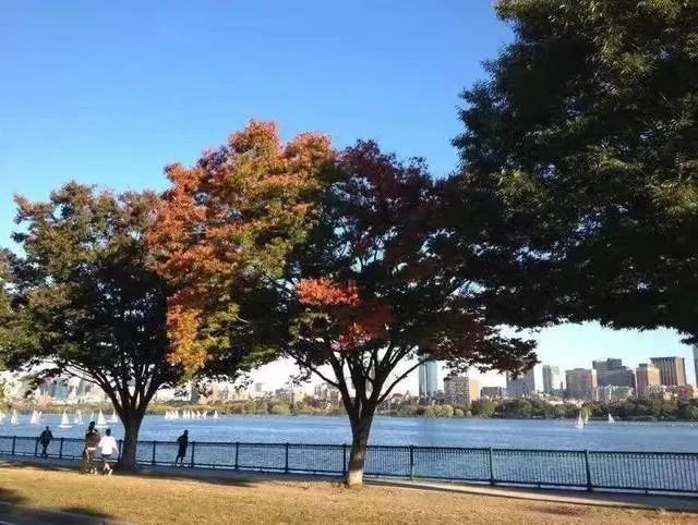 微信圖片_20221126194317.jpg