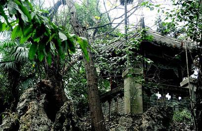 成都北園